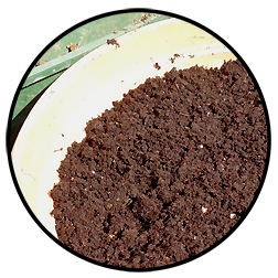 Fertilizzanti granulari e terricci