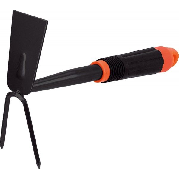Zappetta quadrata Stocker