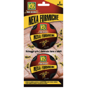 Nexa esca formiche box