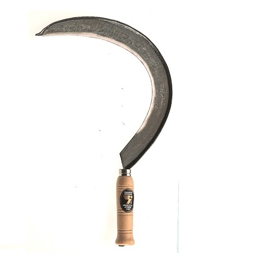 Falciola erba n°2