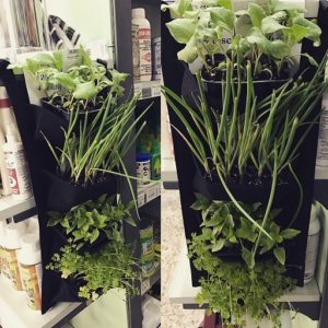 Vaso verticale 4 tasche