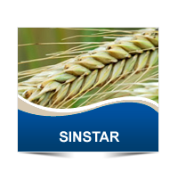 Sinstar (1 L) - Cheminova