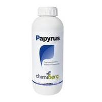 Papyrus (1 L) - Diachem