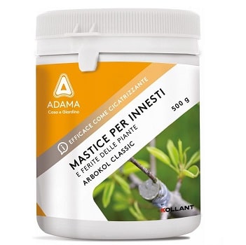 Pâte à Greffer Et Cicatriser Pour Arbres - 500 G Avec Pinceau, Pour Plaies D'élagage, Bonsaïs Et Greffes