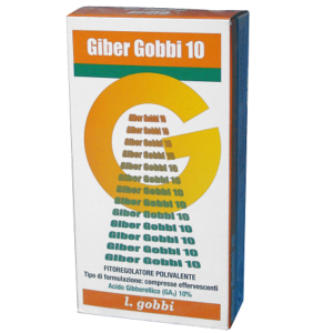 Giber Gobbi 10 (100 g) - L.Gobbi