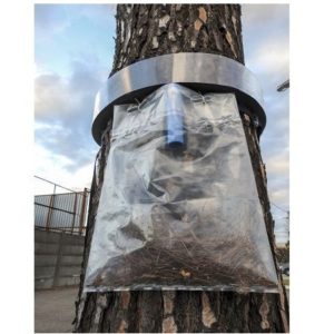 Collare per processionaria del Pino - Bleu Line