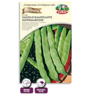 Sementi di Fagiolo rampicante "Supermarconi" - Zorzi Hortusì