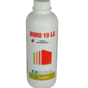 Boro 10 LG - L. Gobbi