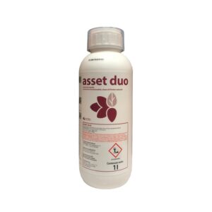 Asset Duo (1 L) - Serbios