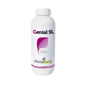 Genial SL (1 L) - Diachem