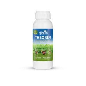 Theorem (500 ml) - Green Ravenna
