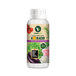 Koracid (500 ml) - Kollant