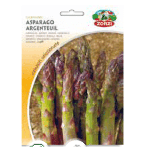 Sementi "Asparago argenteuil" - Zorzi Hortusì