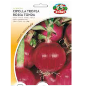 Sementi "Cipolla" - Zorzi Hortusì