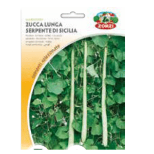 Sementi "Zucca lunga serpente di Sicilia" - Zorzi Hortusì