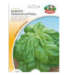 Sementi "Basilico" - Zorzi Hortusì