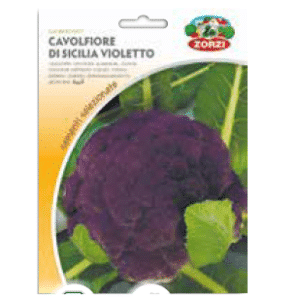 Sementi "Cavolo" - Zorzi Hortusì