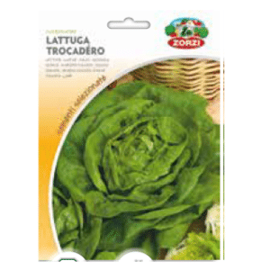 Sementi "Lattuga" - Zorzi Hortusì