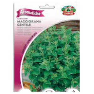Sementi "Maggiorana" - Zorzi Hortusì
