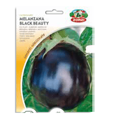 Sementi "Melanzana" - Zorzi Hortusì