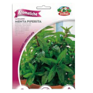 Sementi "Menta Piperita" - Zorzi Hortusì