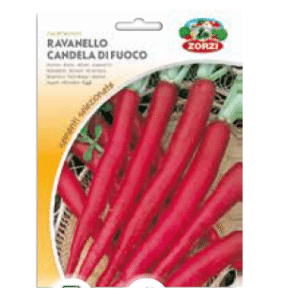 Sementi "Ravanello candela di fuoco" - Zorzi Hortusì