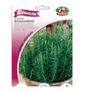Sementi "Rosmarino" - Zorzi Hortusì