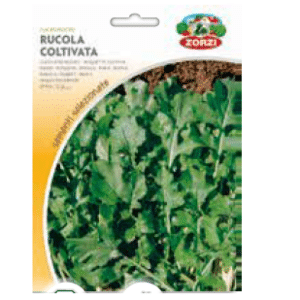 Sementi "Rucola" - Zorzi Hortusì