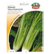 Sementi "Sedano" - Zorzi Hortusì