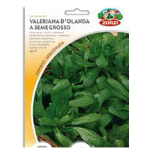 Sementi "Valeriana" - Zorzi Hortusì