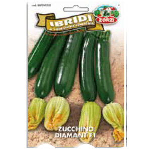 Sementi "Zucchino" - Zorzi Hortusì