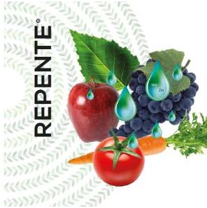 Repente (5 L) - Kalòs