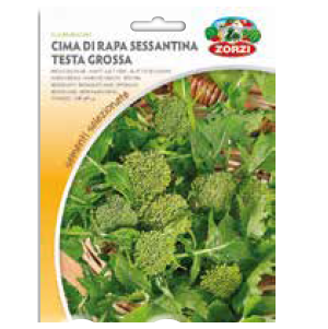 Sementi "Cime di rapa sessantina" - Zorzi Hortusì