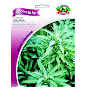 Sementi "Salvia" - Zorzi Hortusì