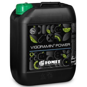 Vigoramin Power - Fomet